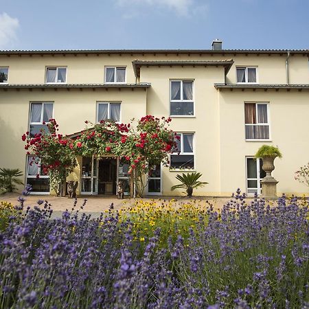 Mediterran Hotel Juwel Karlstein am Main Extérieur photo